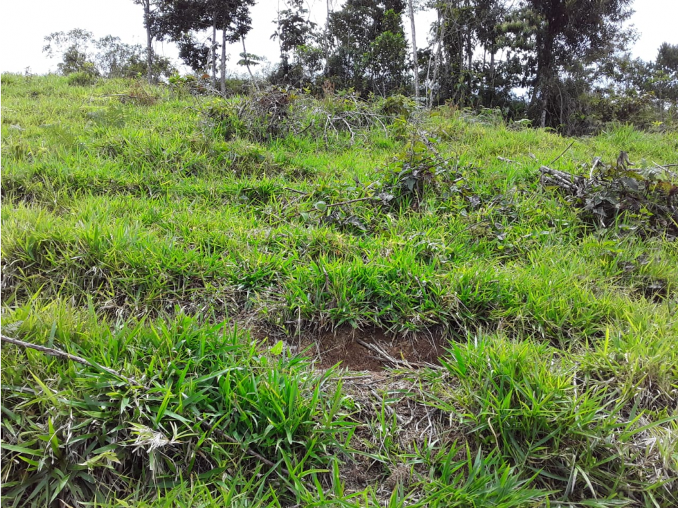 VENTA LOTE 3P DE 4.000 MTS 2 EN SAN ROQUE ANTIOQUIA