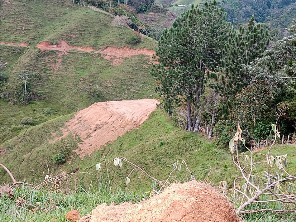 LOTE 4E DE 4.000 MTS2 EN SAN ROQUE ANTIOQUIA