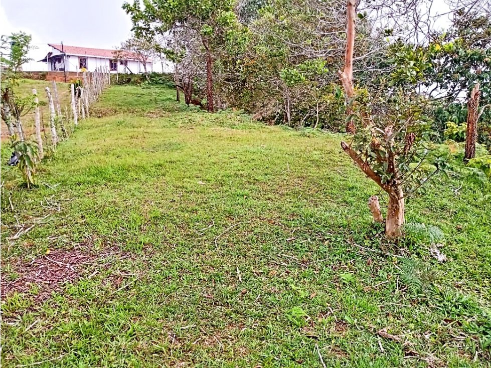 VENTA DE LOTE 2.500 MT2 EN SAN ROQUE ANTIOQUIA