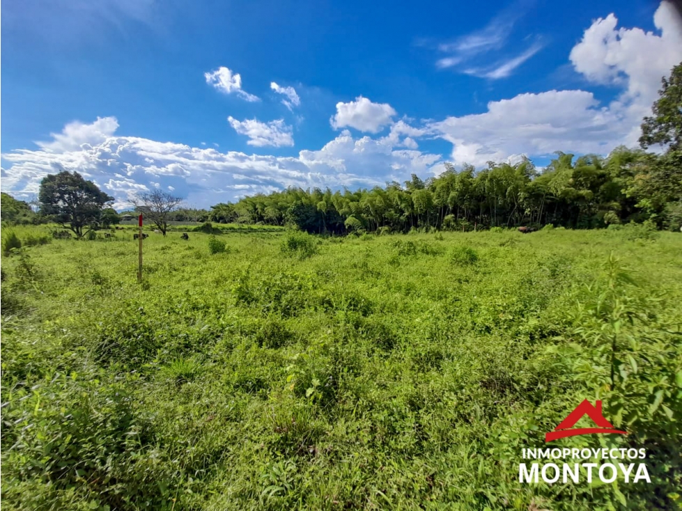 Lote campestre en El Tigre-Cerritos, Pereira