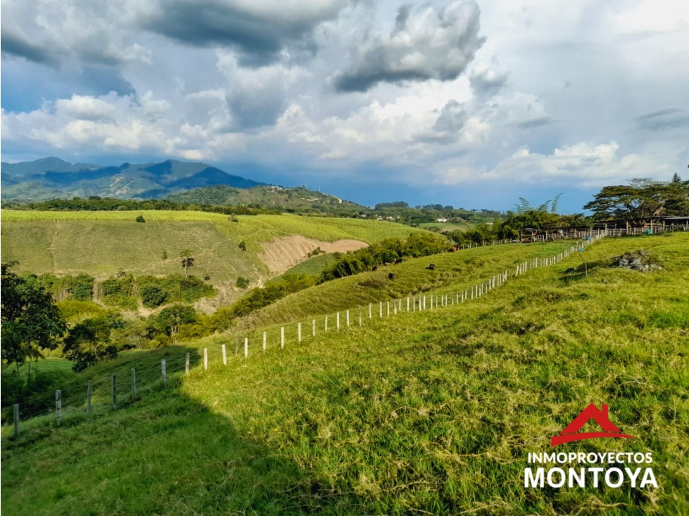 Lotes campestres en parcelación, Cerritos, Pereira