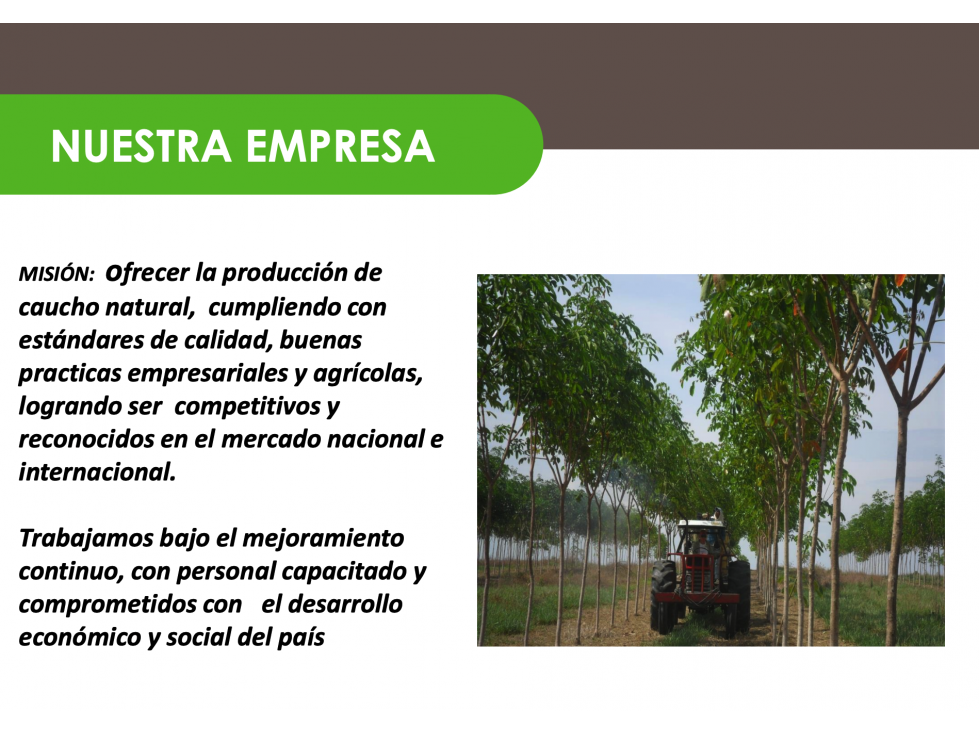 Venta Finca con Producción de Caucho, PUERTO LOPEZ META