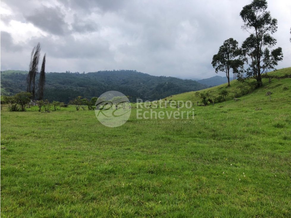 Vendo lote Zona Industrial, Manizales