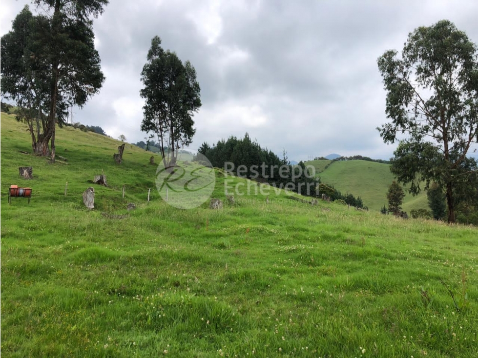 Vendo lote Zona Industrial, Manizales