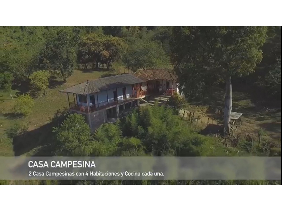 Finca ganadera en venta vía pacora