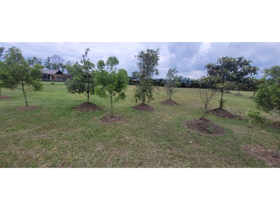 LOTE EN VENTA PARCELACION LLANOGRANDE RIONEGRO