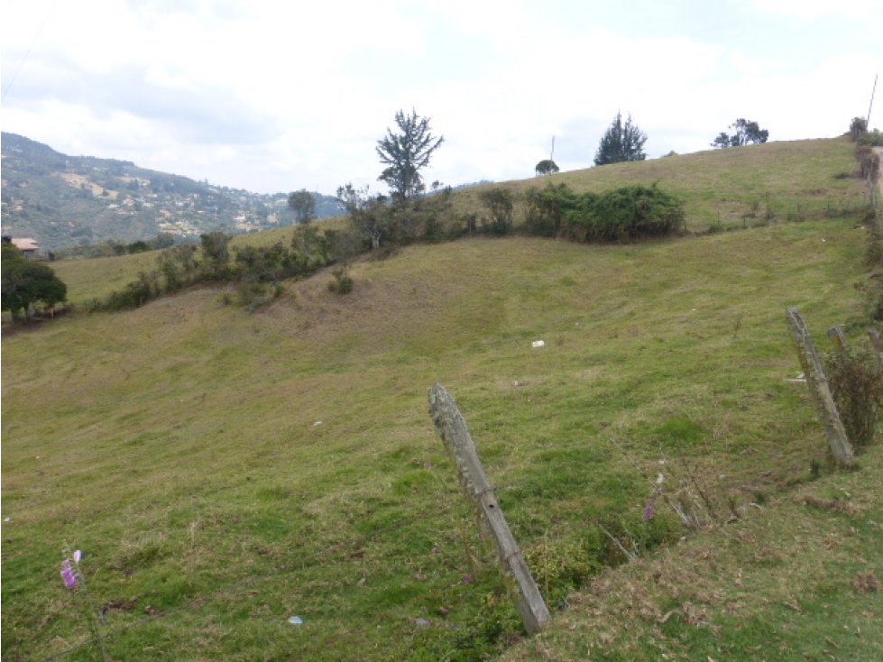 Se Vende Lote de 16.000 M², Vianicito, Vereda El Hato