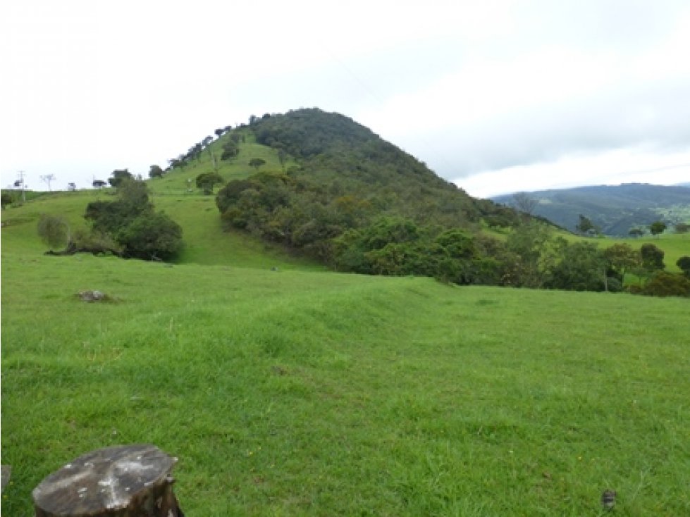 Lindo Lote de 4 hectáreas, Vereda San José. La Calera