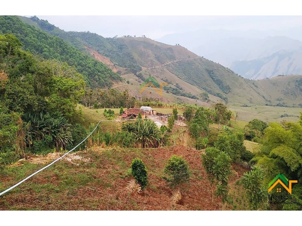 OFERTA, Vendo Finca agrícola ó para Parcelar Betulia, Antioquia