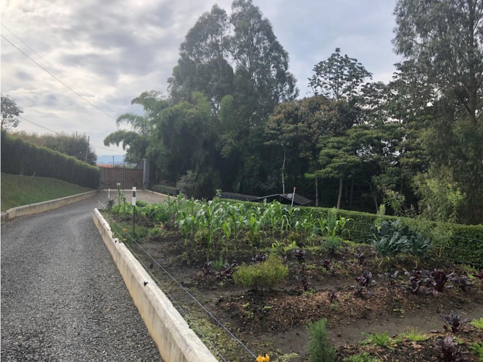 Venta de Casa Campestre en la Ceja sector el Tabor