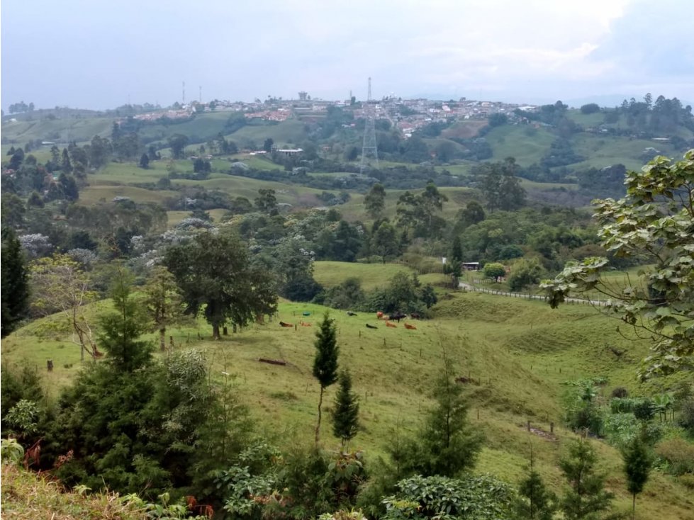 Lote en venta en Filandia, Quindio