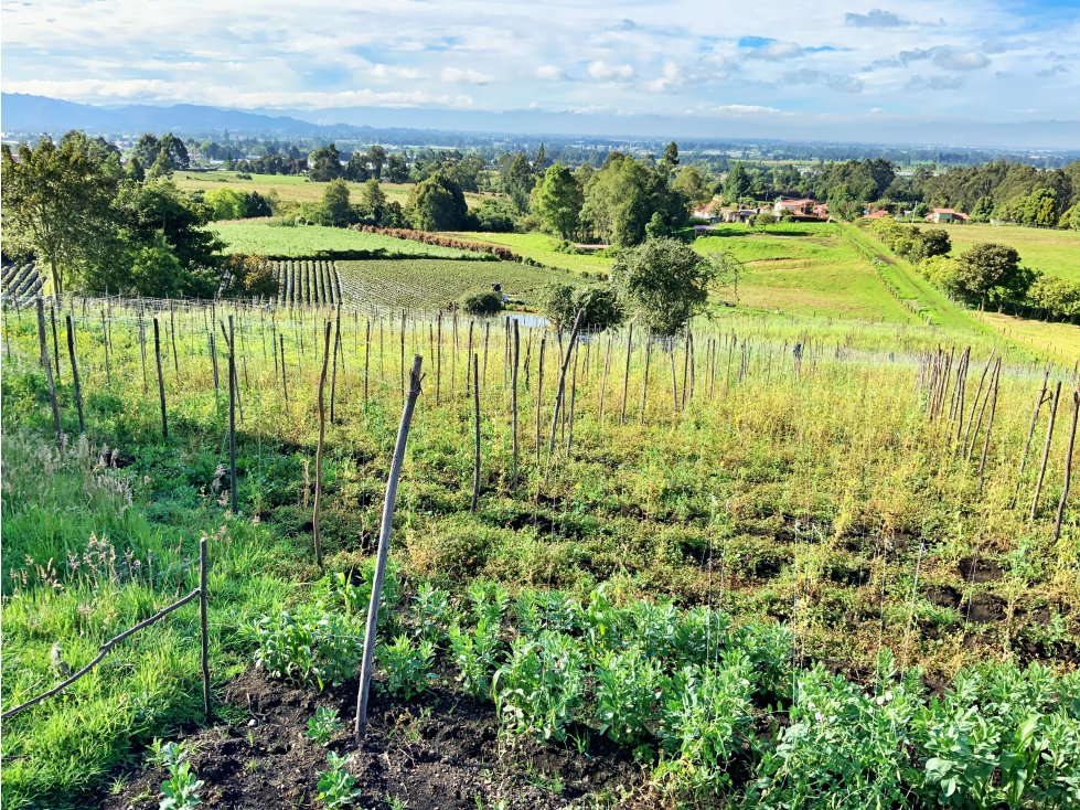 Lote para la venta en Cuatro esquinas Facatativá, Cundinamarca