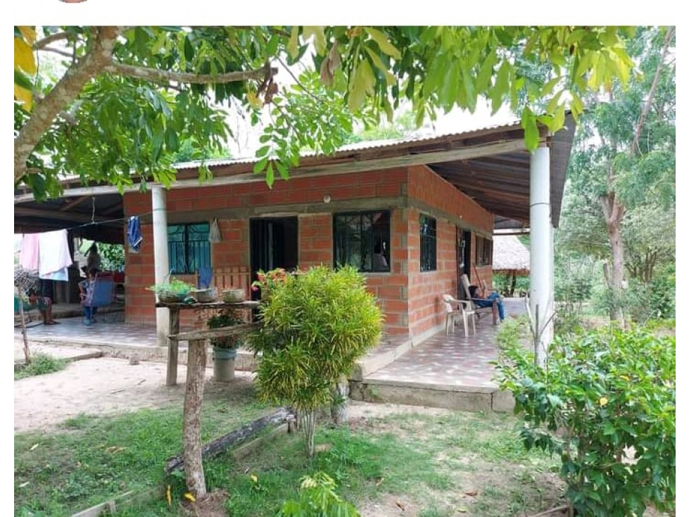 EN VENTA FINCA VIA A PLANETA RICA CORDOBA  COLOMBIA