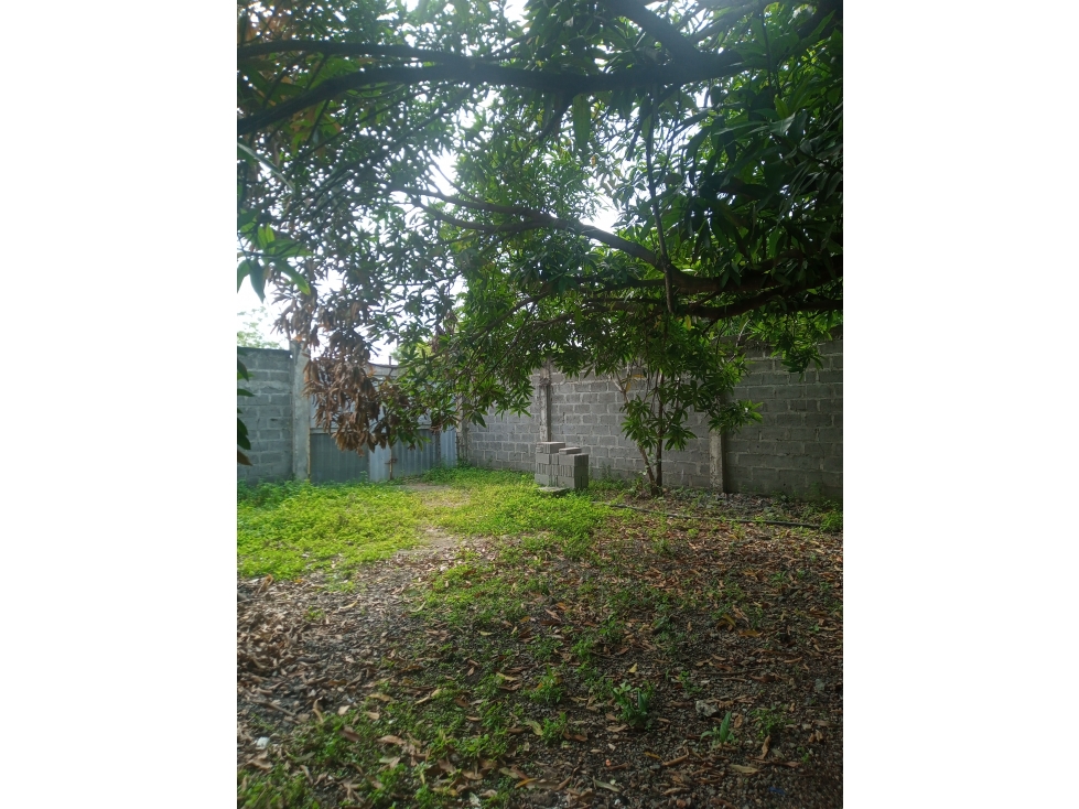 VENDO LOTE EN VILLA CARIBE MONTERÍA CÓRDOBA COLOMBIA