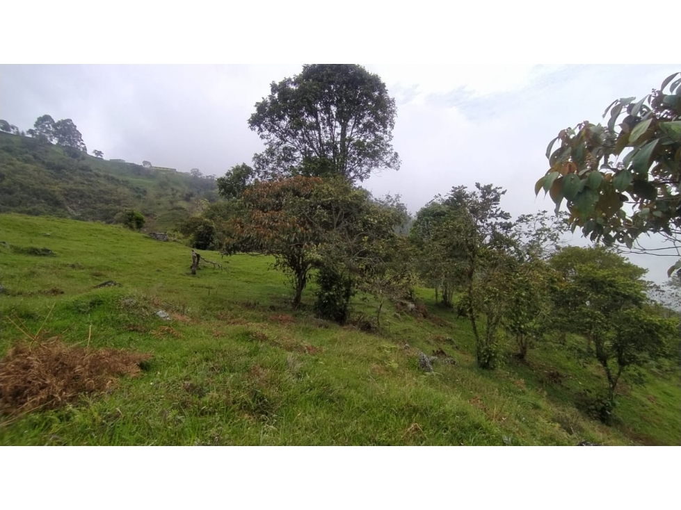 Lotes en venta en Don Matías, Antioquia con escrituras