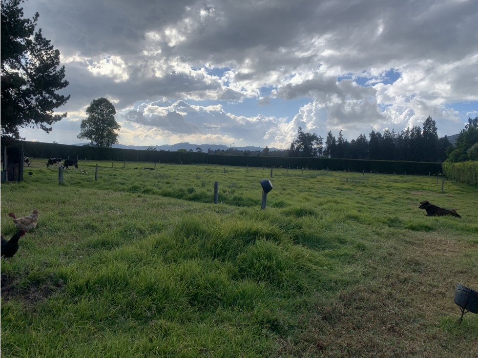Lote en exclusiva Hacienda Meridor - Tominejas