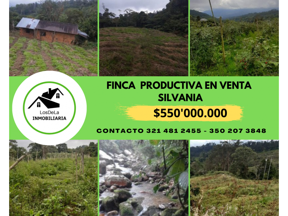 EXCELENTE FINCA PRODUCTIVA EN SILVANIA CUNDINAMARCA