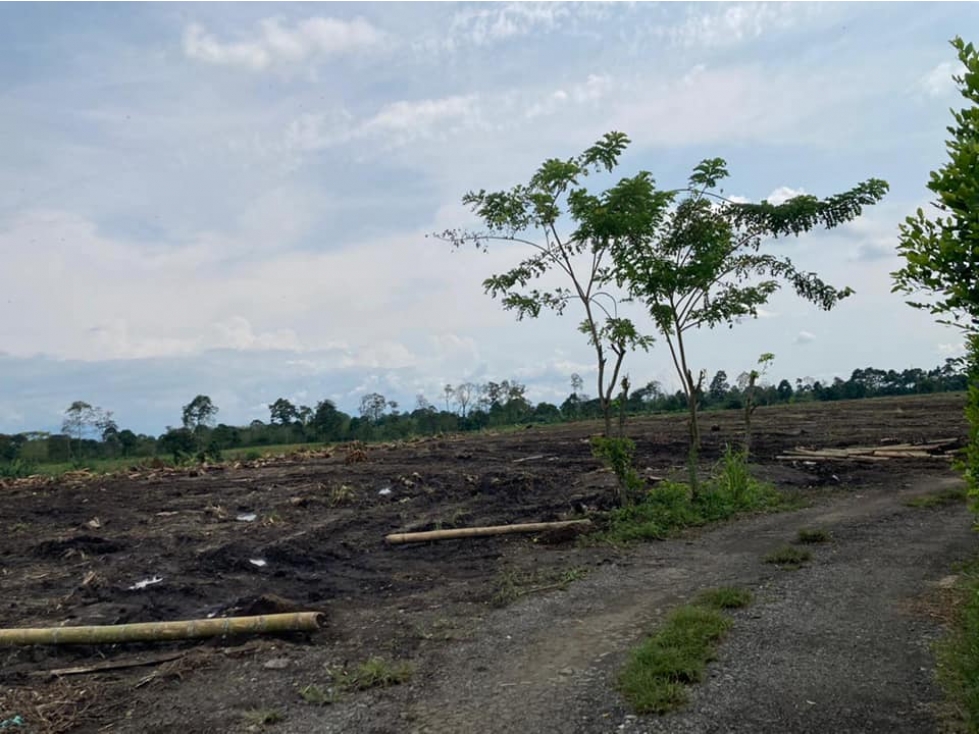 VENDEMOS LOTES CAMPESTRES CERCA AL PARQUE DEL CAFÉ QUINDIO