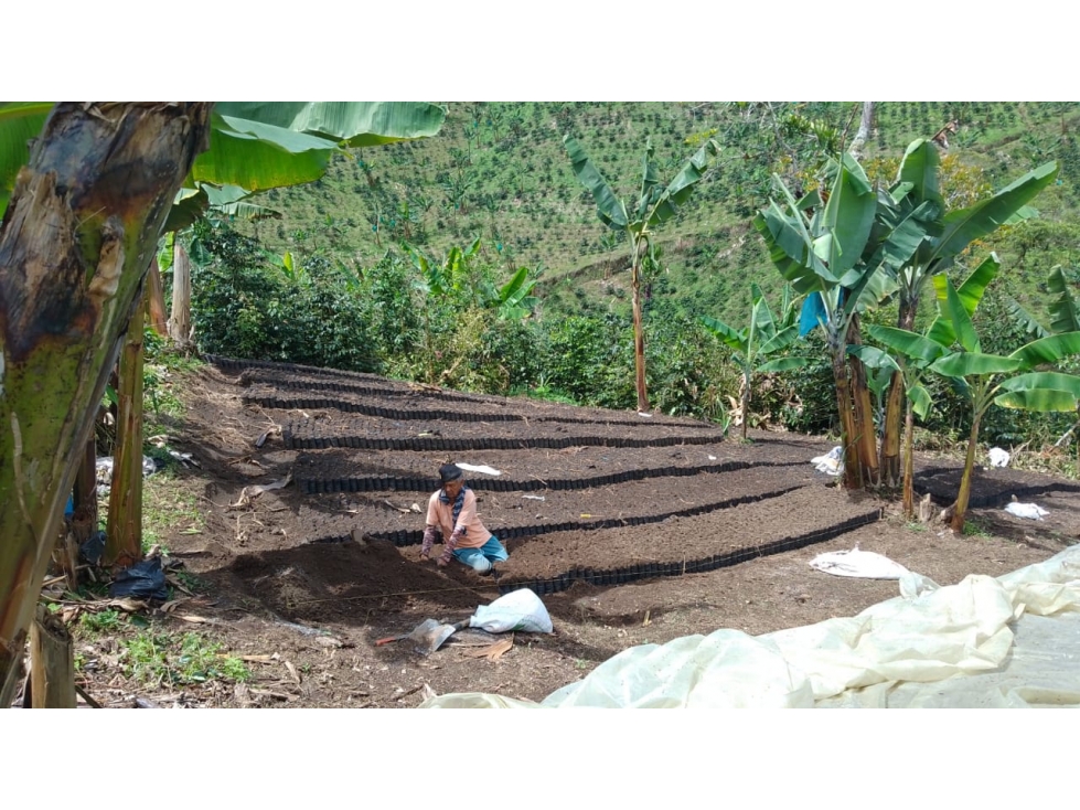 SE VENDE FINCA EN SANTA  ROSA DE CABAL PRODUCTIVA