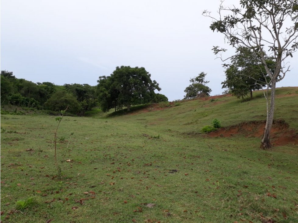 FINCA EN VENTA, BAYUNCA, BOLIVAR