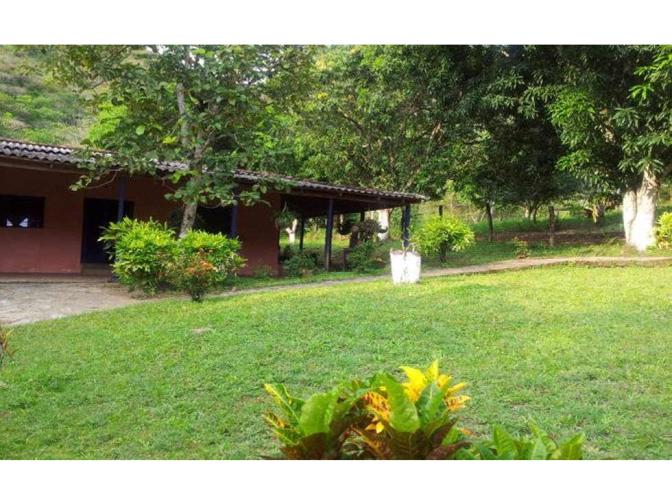 Vendo finca, ideal para parcelación - Municipio de Olaya-  Antioquia.