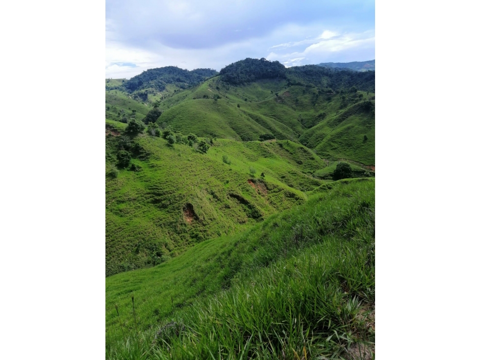 Venta de finca en Remedios Santa Isabel