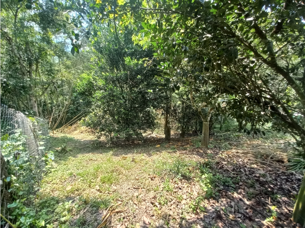 VENTA ESPECTACULAR LOTE EN NOCAIMA CUNDINAMARCA