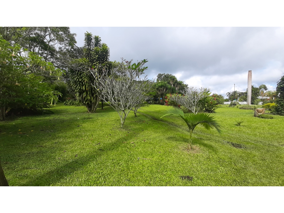 VENTA FINCA HOTEL LA TEBAIDA QUINDIO