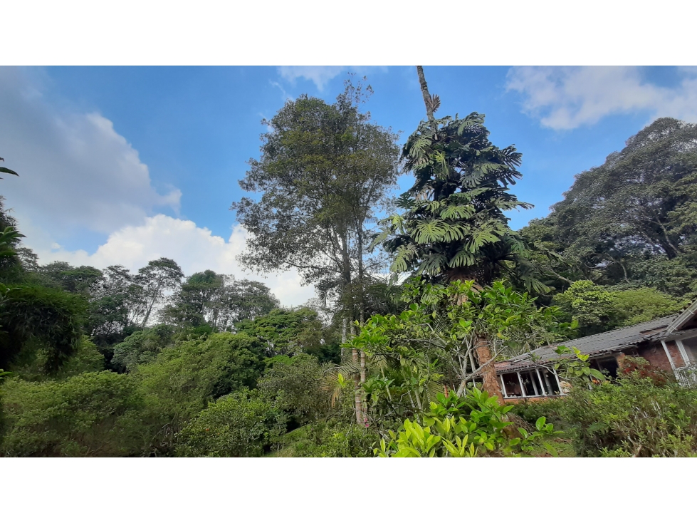 VENTA  CASA CAMPESTRE CIRCASIA QUINDIO