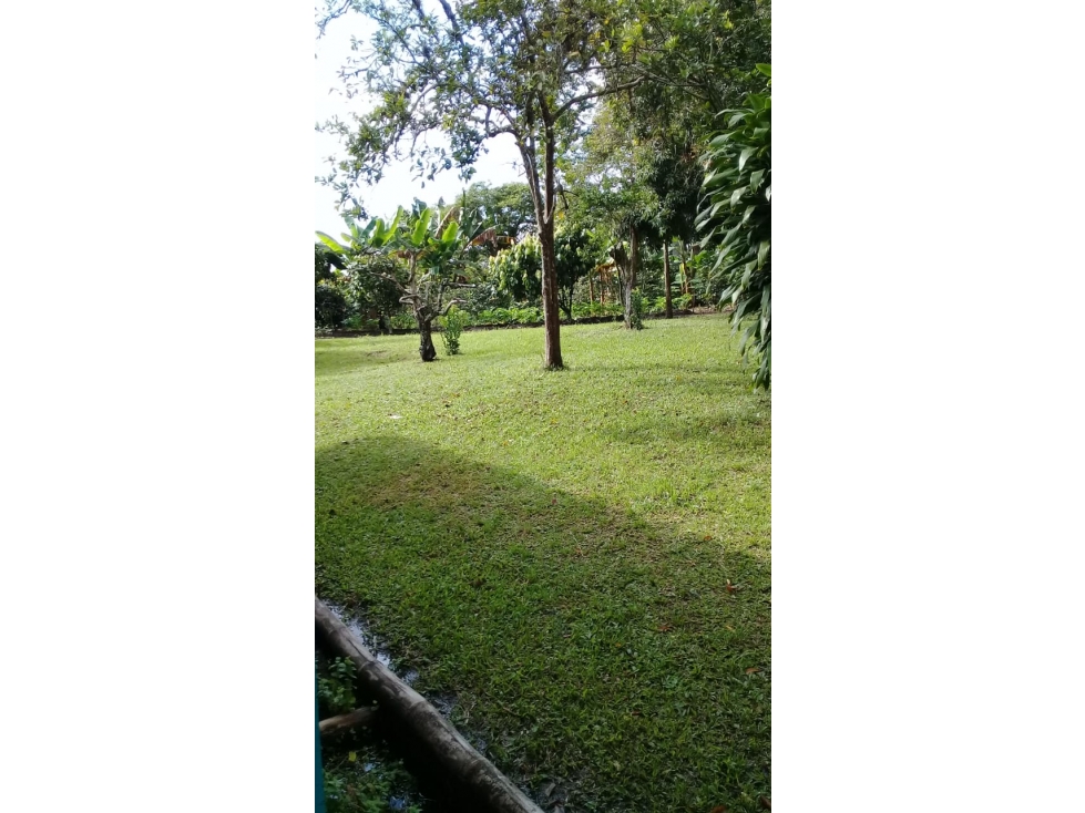 Se vende Lote en Quimbaya Quindío