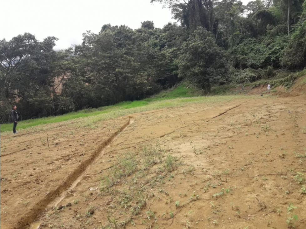 Se vende Lote Tuluá Valle del Cauca