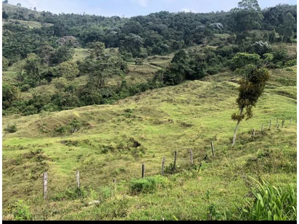 Se Vende Finca En Génova - Quindío