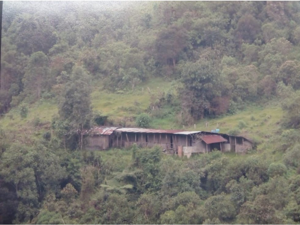 Se vende Finca en Cumaral Valle del Cauca