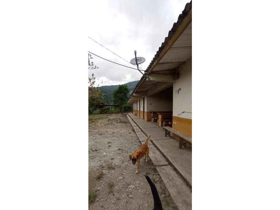 Se vende Finca en Génova Quindío