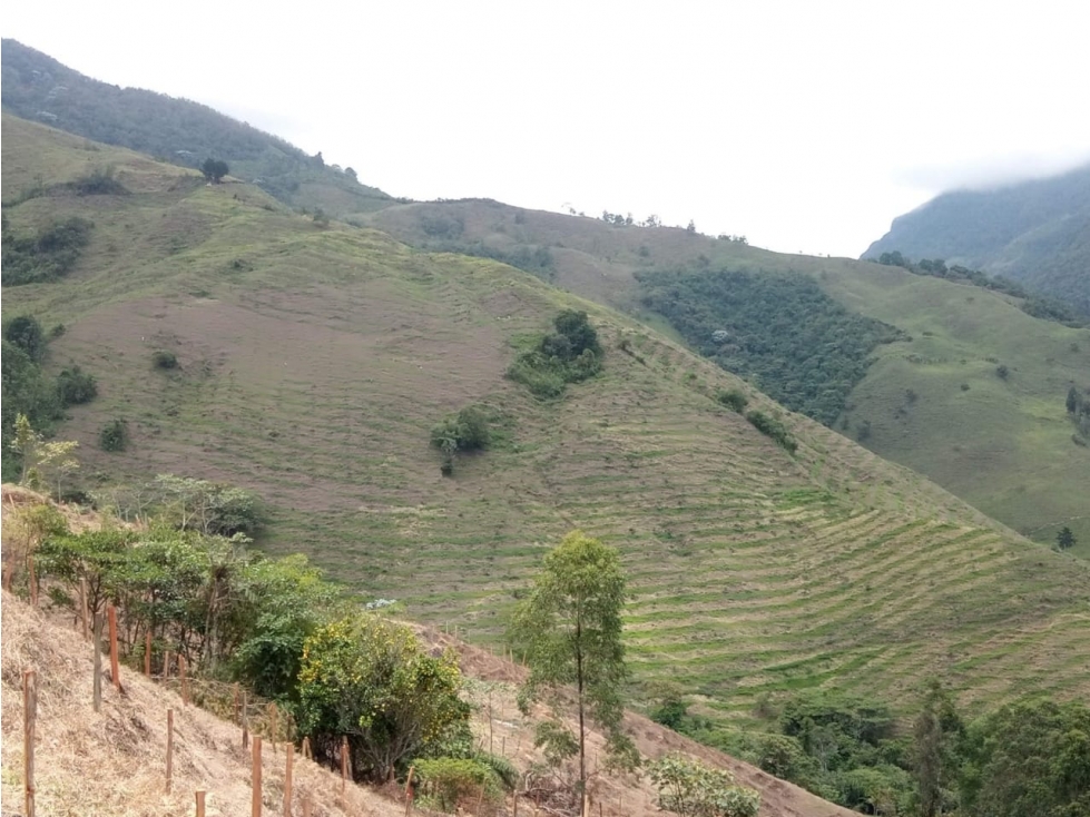 Se vende Finca Génova Quindío