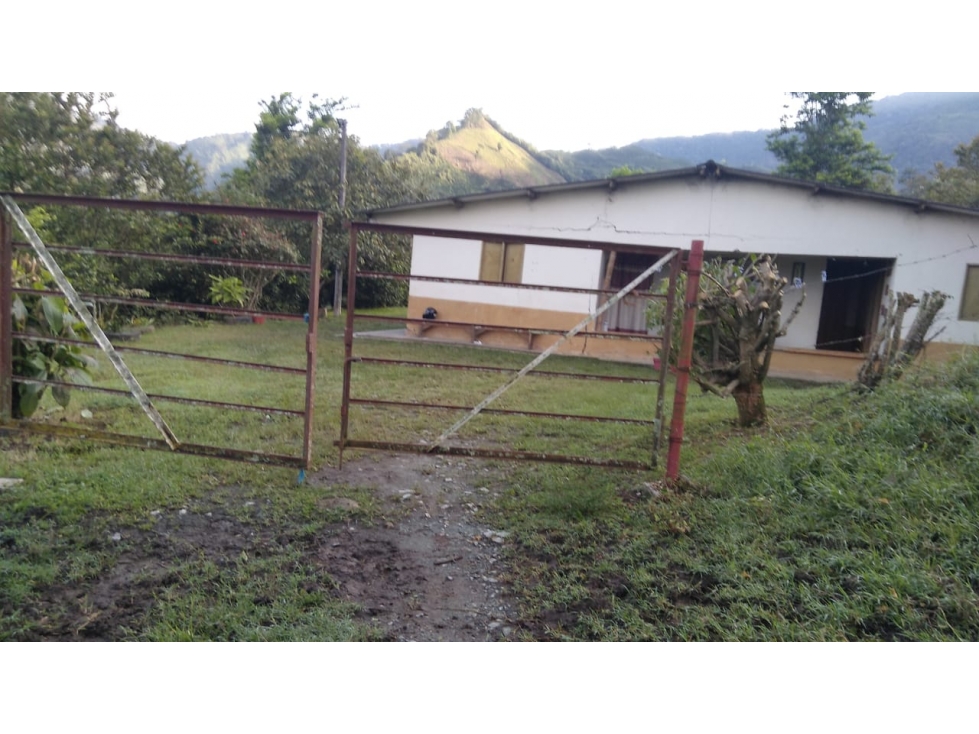 Se Vende Finca en Génova - Quindío