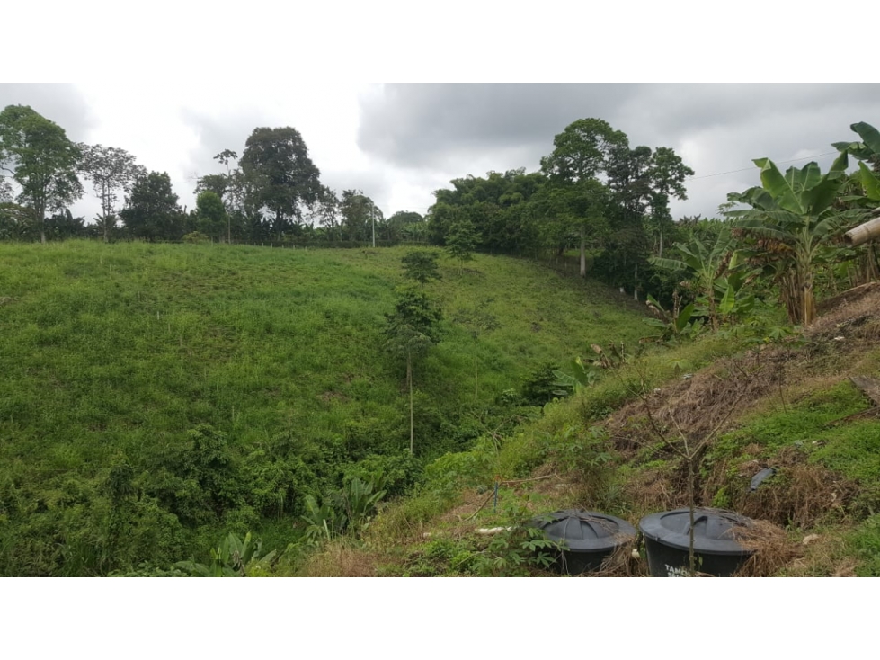 Se vende Finca entre Circasia - Montenegro Quindío