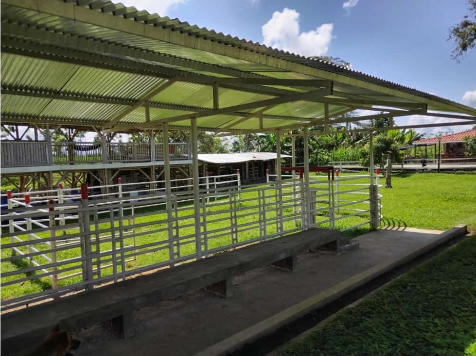 Se vende Finca En Montenegro Quindío