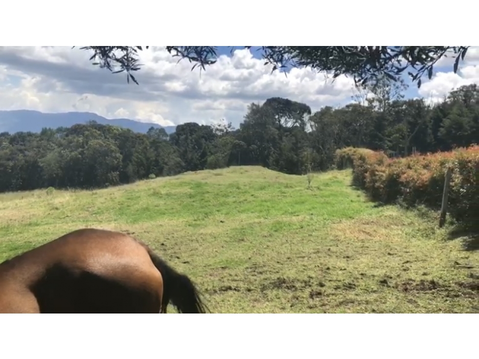 Venta Lote en el alto de las Palmas Indiana