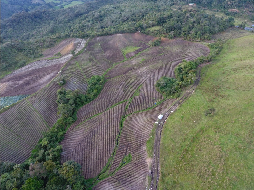 LOTE CON GRAN ÁREA PARA LA VENTA EN LA UNIÓN, ANTIOQUIA.