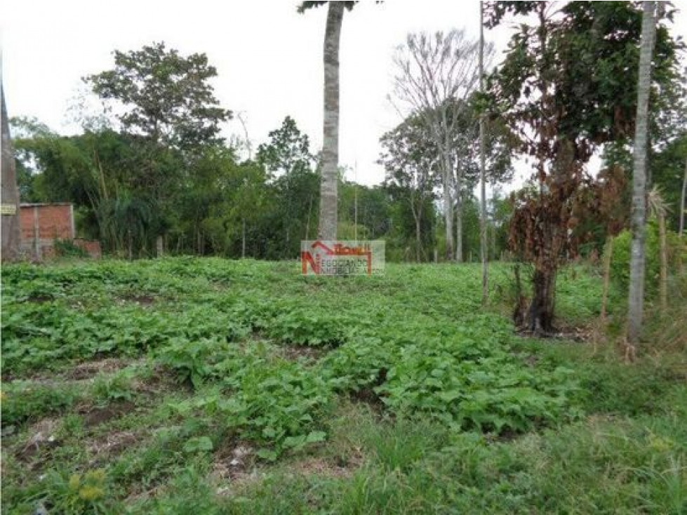 VENTA LOTE TEBAIDA VÍA AL VALLE