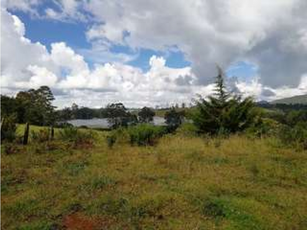Vendo lote con muy buena area