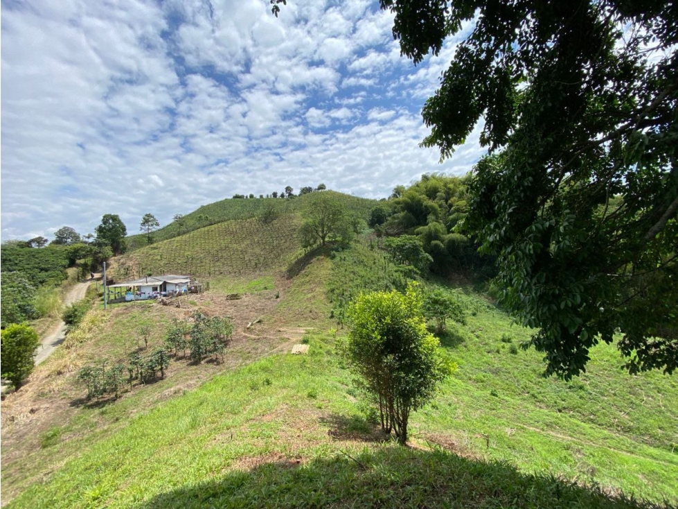 VENTA LOTE PALESTINA, MANIZALES