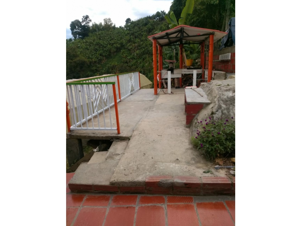 VENTA FINCA QUIEBRA DE VELEZ, MANIZALES