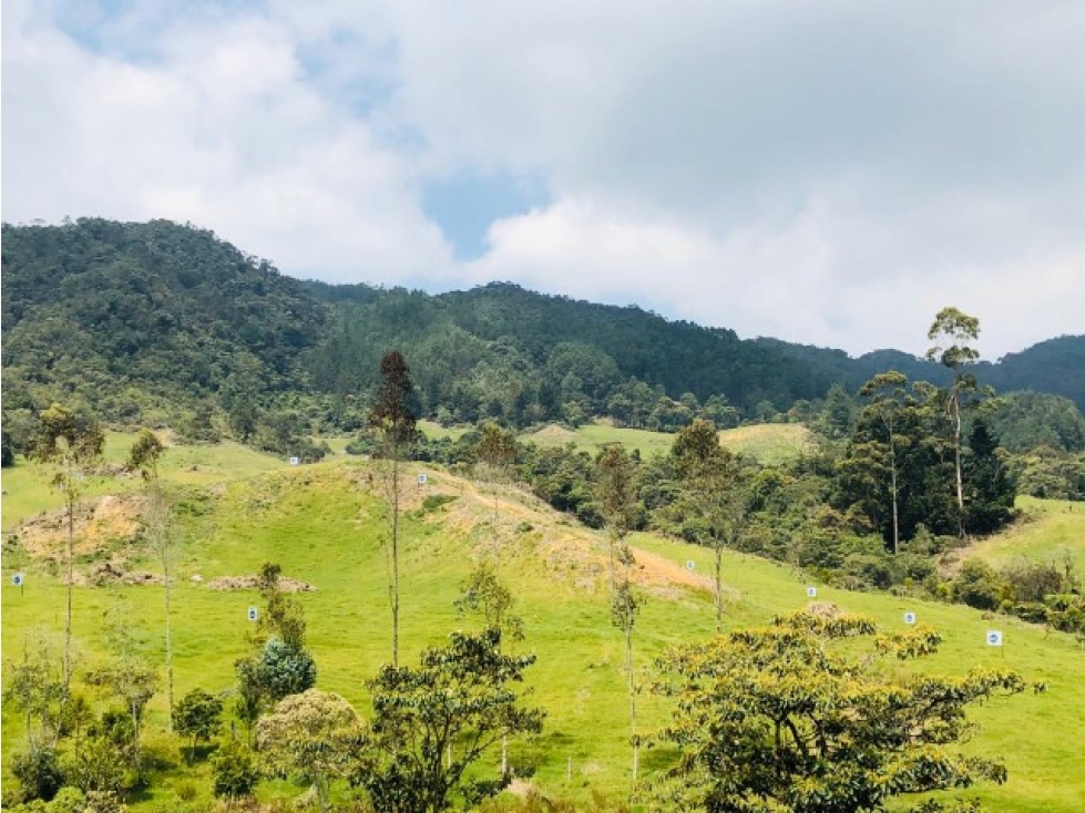 L-98 LOTE en PARCELACION (Loma del escobero)