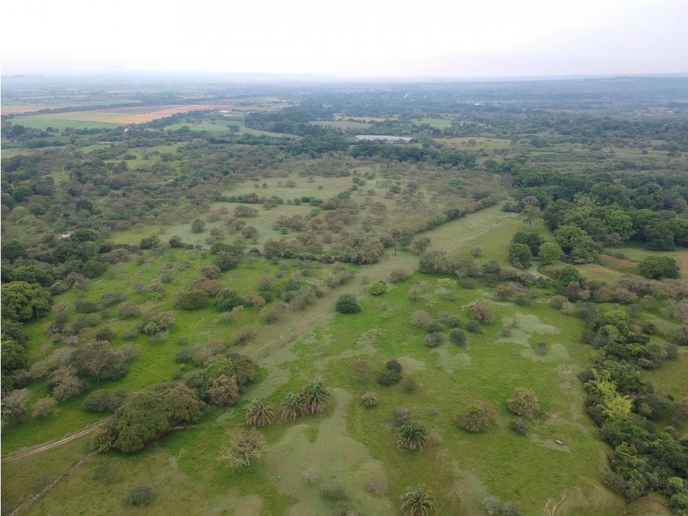 Lote ganadero en venta - Campoalegre, Huila