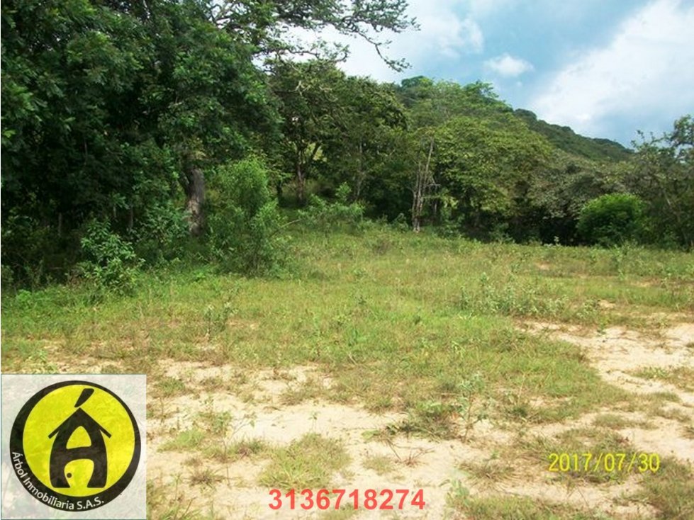 VENTA LOTE INDEPENDIENTE SAN JERÓNIMO ANTIOQUIA