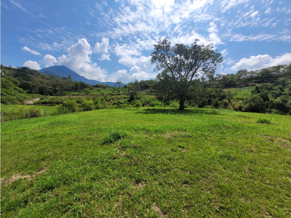 Lote en Venecia (suroeste antioqueño)