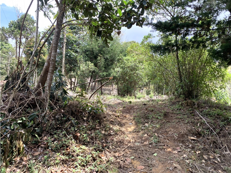 Lote en El Retiro, Antioquia | Venta