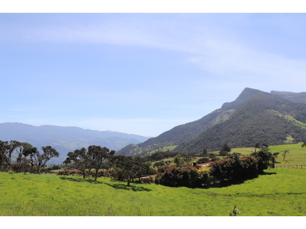 VENDO FINCA  EN LA CALERA